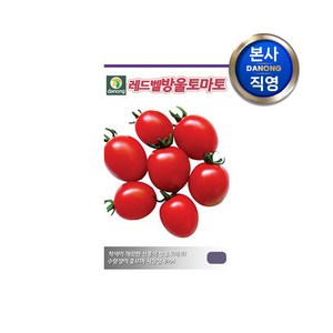 [다농] 레드벨대추 방울 토마토 씨앗 100립 . 야채 빨간 채소 씨 종자 주말 농장 텃밭, 1개