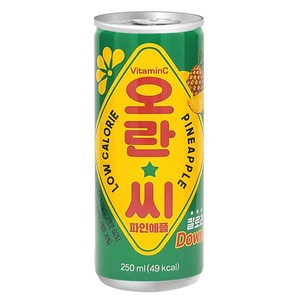 동아오츠카 오란씨 파인애플 캔, 250ml, 30개