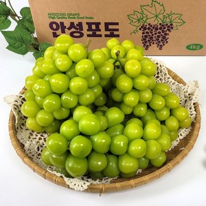 [해담]안성포도 샤인머스켓 4kg(선물용) 실속형 고당도 포도 망고포도 산지직송 당일수확, 1박스