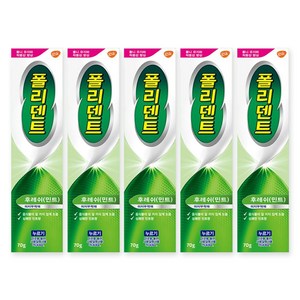 폴리덴트 후레쉬 민트 의치 부착재 70g, 1개입, 5개