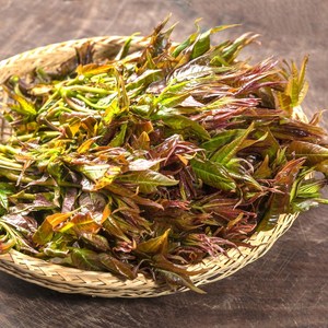 [특품선별] 자연에서자란 가죽나물 참죽나물 가죽순, 1박스, 1kg