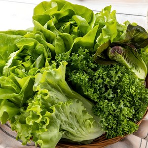 [GAP인증] 당일수확 유러피안 샐러드(4-5종), 1개, 1kg