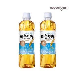 하늘보리, 500ml, 48개