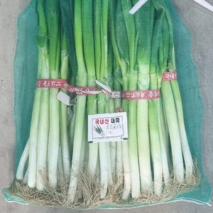 국산 대파 흙대파, 1단, 1kg