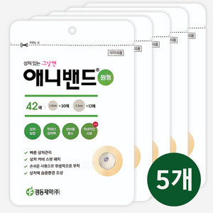 경동제약 애니밴드 원형 스팟 42매 x 5개 총 210매 스팟패치, 42개입