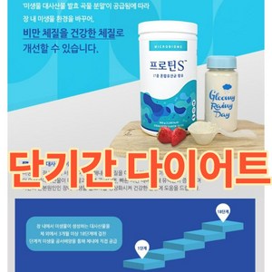 중앙미생물연구소 요요현상 방지 딸기우유맛 다이어트쉐이크 홈트 집콕 확찐자 프로틴에스, 1개, 800g