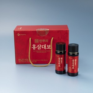 한뿌리 홍삼대보 선물용 100ml 10병, 10개