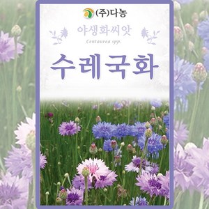 다농 수레국화 씨앗 1g 국화 꽃씨 야생화 종자, 1개