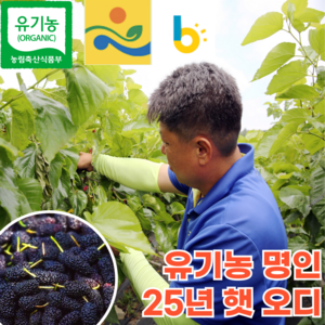 [프리미엄] 25년 유기농 친환경 국산 뽕나무 햇 생 오디 생과 열매 급냉, 1개, 600g