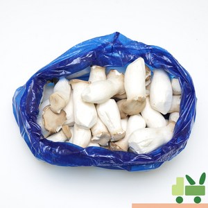 사라상회 새송이 2Kg (1봉) 상