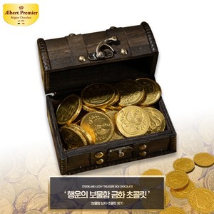 스틴랜드 행운의 보물함 금화 초콜릿, 153g, 1개