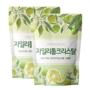 닥터릴리 자일리톨 크리스탈 분말 가루, 2개, 500g