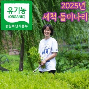[품질보장] 유기농 국내산 순천 돌미나리 밭미나리 세척 손질 미나리, 1kg, 1개