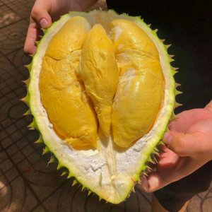 [A0등급 태국몬통두리안] 블로거추천 로컬맛집 생두리안, 1박스, 3kg