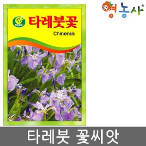 타레붓꽃 씨앗 15립 붓꽃씨 꽃씨 키우기, 1개