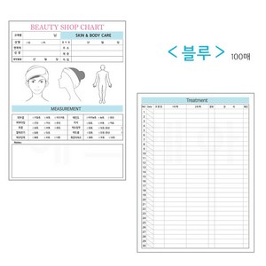 에스테아 피부카르테 100매 고객카드 피부관리실 고객차트 두꺼운타입, 1개, 뉴블루