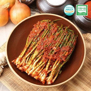 [빛고을김치] 당일생산 국내산100% 전라도 파김치 500g 직접담근 숙성젓갈, 1개