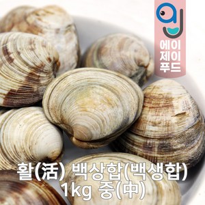 살아있는 활 백상합 1kg 중 (백생합 중국 살아있는 조개 생물조개 냉장조개 조개구이 조개찜 백합조개), 1개