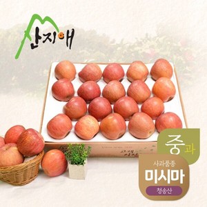 산지애 알뜰 못난이사과(중과) 4.5kg 1box / 당도선별 청송산 미시마, 1박스