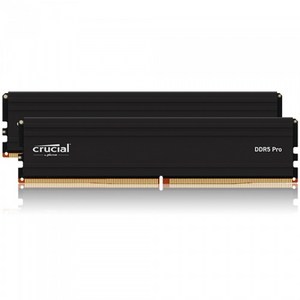 마이크론 Cucial DDR5-5600 CL46 PRO 패키지, 32GB(16Gx2), 2개