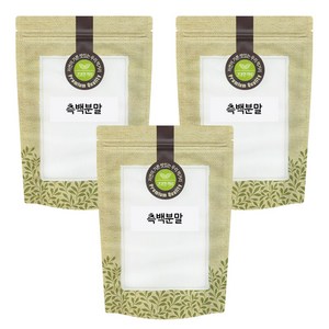 측백 분말 가루 300g x 3팩 (총900g) 국산 국내산, 3개