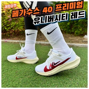 (국내매장판) 나이키 러닝화 페가수스 40