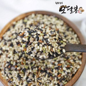 힘찬농부오달봉 국산 오색현미 (현미 찰현미 흑미 홍미 녹미 흑백미), 1개, 5kg