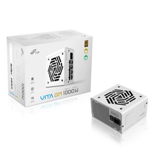 FSP VITA GM 1000W 80PLUS Gold ATX 3.1 화이트 파워서플라이, VITA-1000GM(화이트)