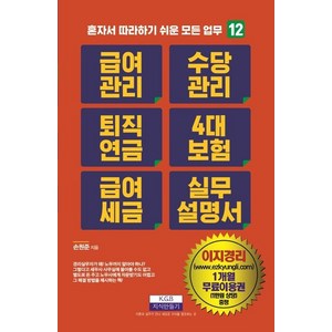 급여관리 수당관리 퇴직연금 4대 보험 급여 세금 실무설명서, 지식만들기, 손원준