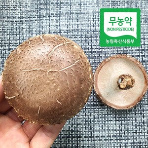 국산 무농약 표고버섯, 파지 1kg, 1개