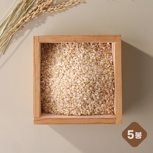 삼시세끼 오분도미 삼광 특등급 1kg x 5봉, 5개