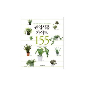 관엽식물 가이드 155:어떤 식물을 어디에 놓고 어떻게 관리할까, GREEN HOME