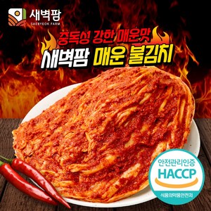 새벽팜 매운 불김치 2kg 전라도김치 참매실 배추 실비김치, 1개