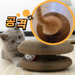 냥냥토이 참교육 고양이 스크래쳐 장난감 둥지 공놀이, 2개, 고양이발바닥