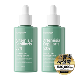 메디레머디 사철쑥53 주름개선 카밍 세럼 100ml, 2개