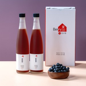 블루베리 발효식초 100%, 500ml, 2병(1세트)