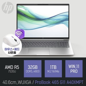 HP 프로북 465 G11 A40XMPT [사은품 증정], WIN11 Po, 32GB, 1TB, 실버