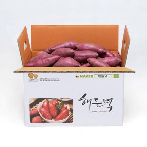 산지직송 해들녘 무농약 고창 세척 꿀 고구마 3kg 5kg 10kg (한입/중/특상/왕), 해들녘고구마 5kg (특상 사이즈), 1개