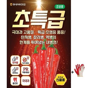 초특급 고추씨앗 고추종자 극대과 칼라병 탄저병 극강 농우바이오 +자재스토어 장갑셋트, 초특급1+1=1400립+사은품, 1개