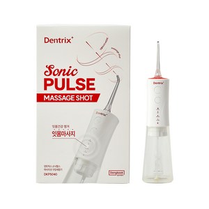 [쇼핑백증정] 동국제약 구강세정기 리뉴얼 덴트릭스 소닉펄스 마사지 샷 구강세정기 워터치실 치석제거 스켈링, 1개