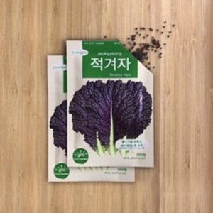 프레시가든 프리미엄 채소씨앗 적겨자, 2개