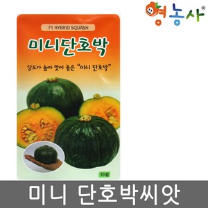 영농사 미니단호박 씨앗 10립, 1개