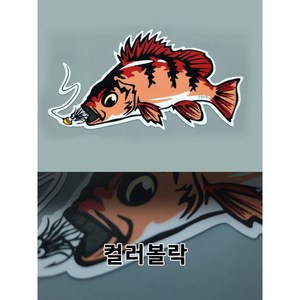 낚시 스티커 컬러볼락 볼락스티커, 1개