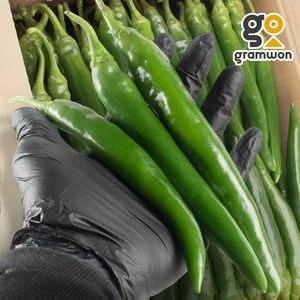 오이고추 상 10KG 아삭이 고추 풋 안매운 못난이, 1개