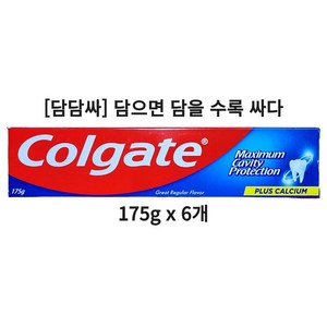 콜게이트 플루오라이드 치약 그레이트 레귤러 플레버, 1개입, 6개