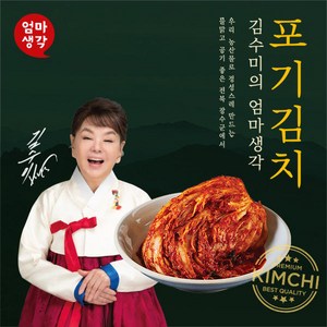 자연맛남 김수미의 엄마생각 [더프리미엄] 포기김치 9kg 9kg, 1개