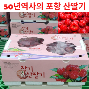 50년역사 고당도 GAP인증 산딸기, 1박스, 500g