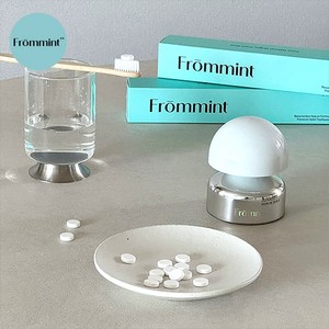 [프롬민트] 울트라민트 프리미엄 구강케어 씹는 자연유래 고체치약 기본형 100정, 70g, 1개
