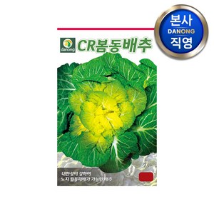 CR봄동 배추 씨앗 500g . 채소 김장 가을 텃밭 파종 결구 월동 씨 종자, 1개