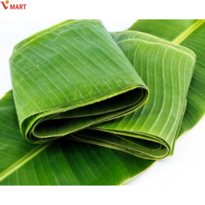 Vmat banana leaf 베트남 생 바나나잎 La chuoi tuoi, 1kg, 1개